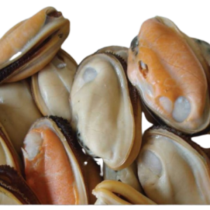 Green lipped mussels