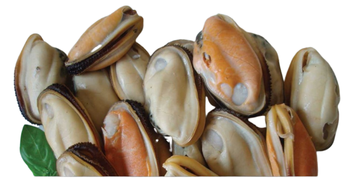 Green lipped mussels